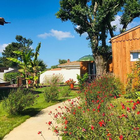 Les Petits Chalets De Kzo La Teste-de-Buch Exterior foto